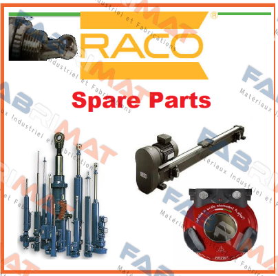 K55p5851  RACO