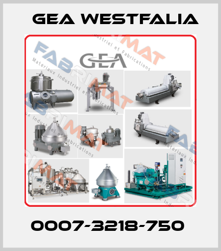 0007-3218-750  Gea Westfalia