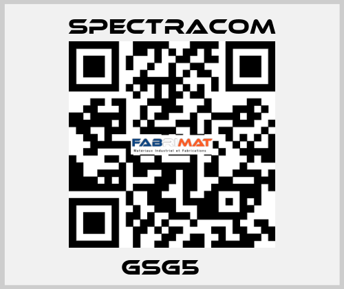 GSG5　  SPECTRACOM