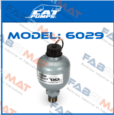 Model: 6029 Cat Pumps