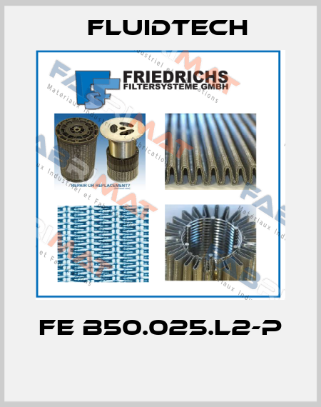 FE B50.025.L2-P  Fluidtech