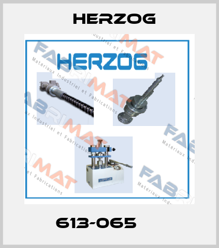 613-065      Herzog