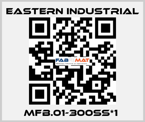 MFB.01-300SS*1  Eastern Industrial