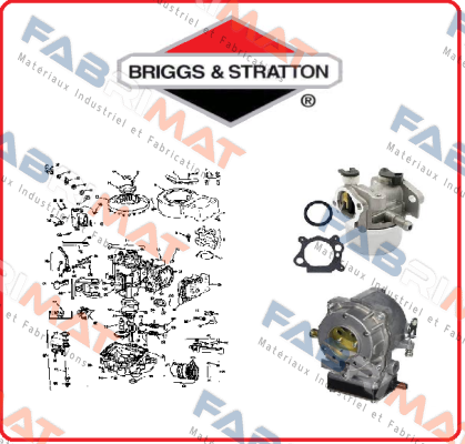 841188-BRI  Briggs-Stratton