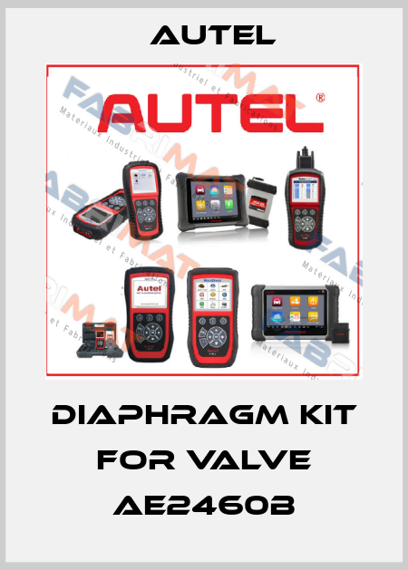 diaphragm kit for valve AE2460B AUTEL