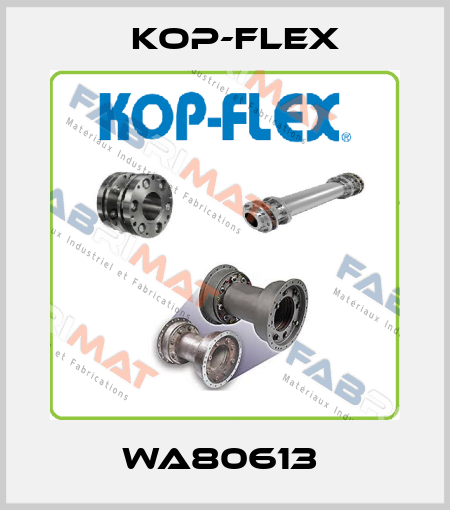 WA80613  Kop-Flex