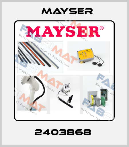 2403868  Mayser