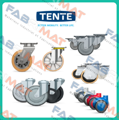9958FTP150P65 (Teilenummer: 00806805-GS) Tente