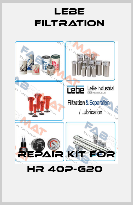 Repair kit for HR 40P-G20  Lebe Filtration