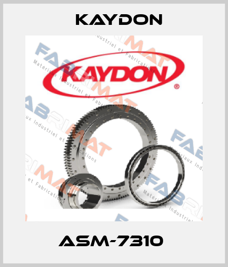 ASM-7310  Kaydon