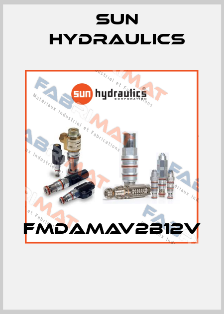 FMDAMAV2B12V  Sun Hydraulics