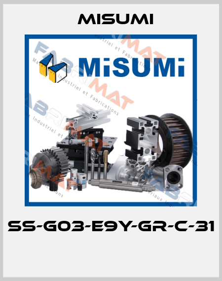 SS-G03-E9Y-GR-C-31  Misumi