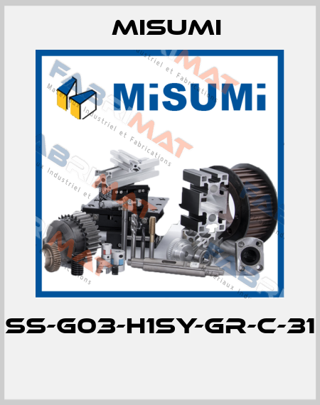 SS-G03-H1SY-GR-C-31  Misumi