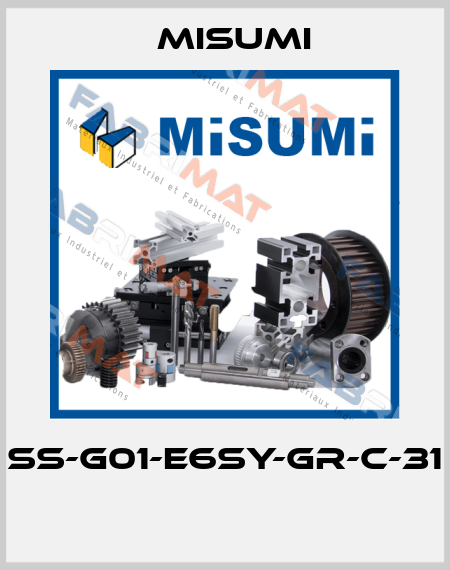 SS-G01-E6SY-GR-C-31  Misumi