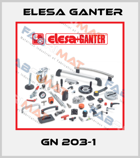 GN 203-1  Elesa Ganter