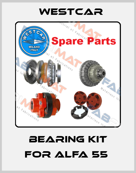 Bearing kit for Alfa 55  Westcar