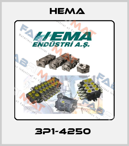 3P1-4250  Hema