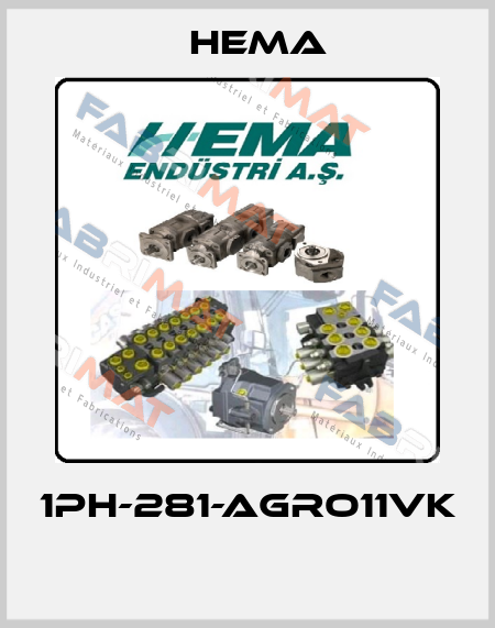 1PH-281-AGRO11VK  Hema