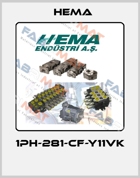 1PH-281-CF-Y11VK  Hema