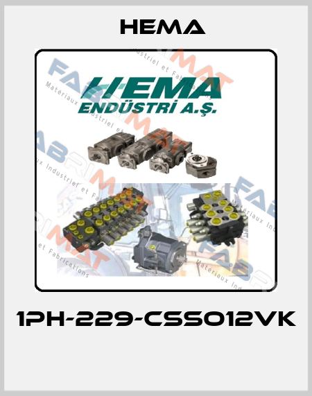 1PH-229-CSSO12VK  Hema