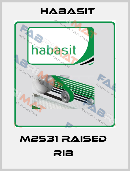 m2531 raised  rib  Habasit