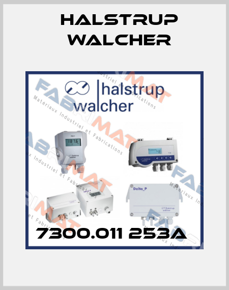 7300.011 253A  Halstrup Walcher