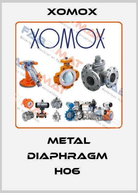 METAL DIAPHRAGM  H06  Xomox