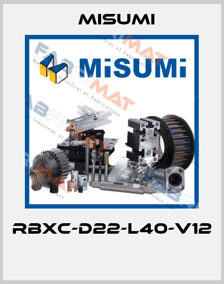 RBXC-D22-L40-V12  Misumi