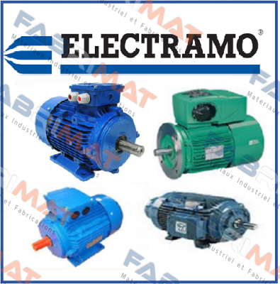 BF 606752/960786-21  Electramo