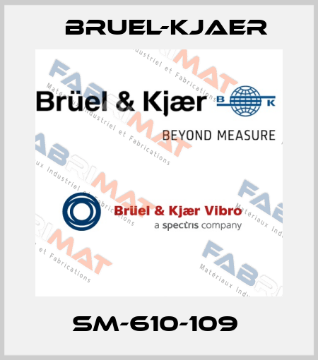 SM-610-109  Bruel-Kjaer
