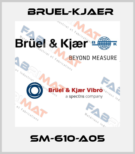 SM-610-A05 Bruel-Kjaer