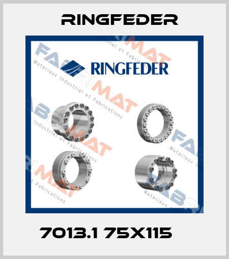 7013.1 75X115    Ringfeder