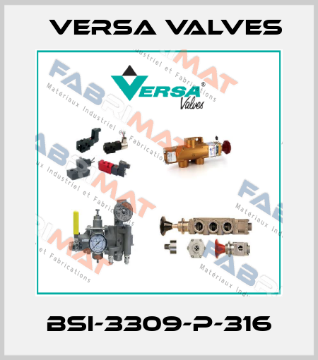BSI-3309-P-316 Versa Valves