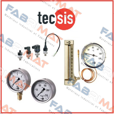 P3298B090101  Tecsis (WIKA Group)