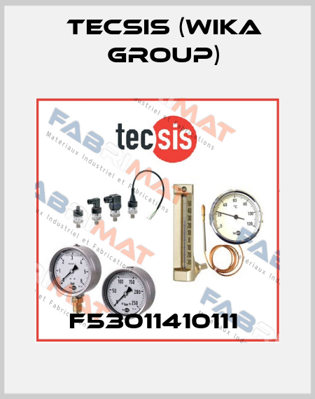 F53011410111  Tecsis (WIKA Group)