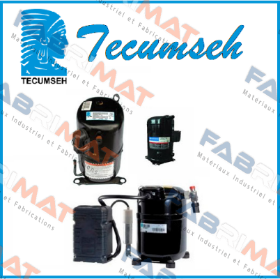 CAE 2417 Z  Tecumseh