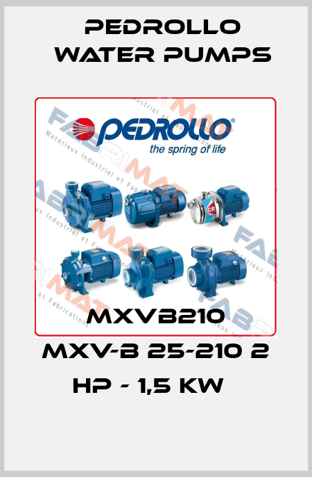 MXVB210 MXV-B 25-210 2 HP - 1,5 kW   Pedrollo Water Pumps
