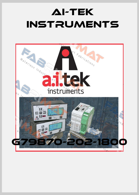 G79870-202-1800  AI-Tek Instruments