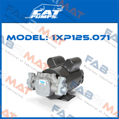 1XP125.071 Cat Pumps