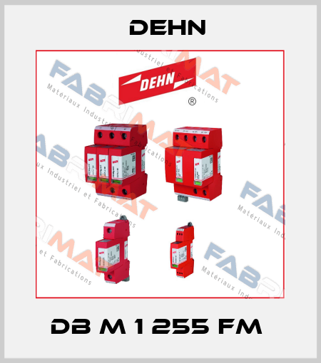 DB M 1 255 FM  Dehn