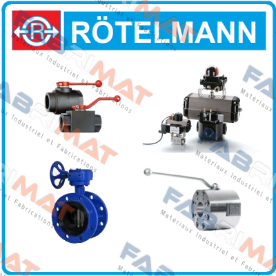 DICHTUNGSSATZ FUR 100994  Rotelmann