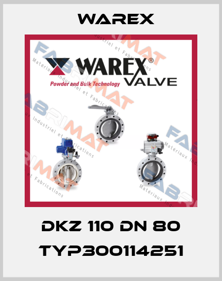 DKZ 110 DN 80 TYP300114251 Warex