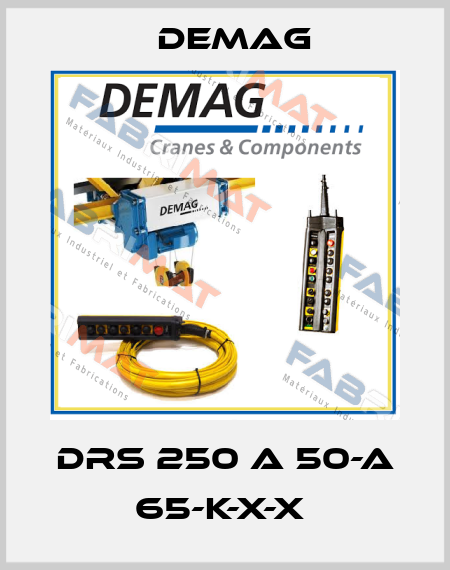DRS 250 A 50-A 65-K-X-X  Demag