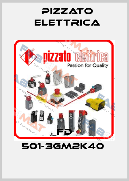 FD 501-3GM2K40  Pizzato Elettrica