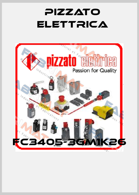 FC3405-3GM1K26  Pizzato Elettrica