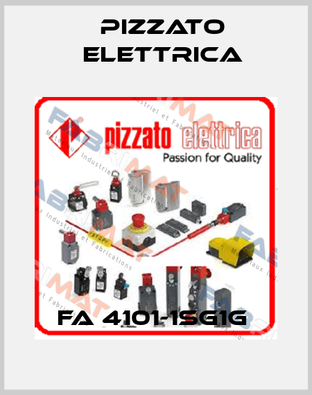FA 4101-1SG1G  Pizzato Elettrica