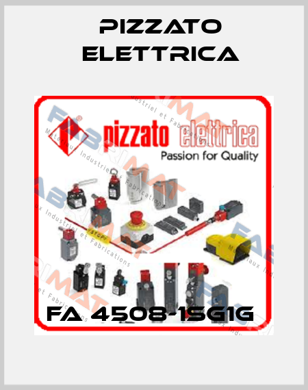 FA 4508-1SG1G  Pizzato Elettrica
