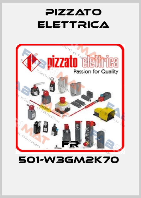 FR 501-W3GM2K70  Pizzato Elettrica