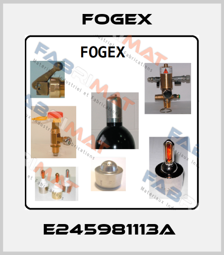 E245981113A  Fogex