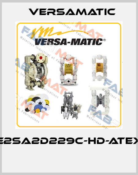 E2SA2D229C-HD-ATEX  VersaMatic